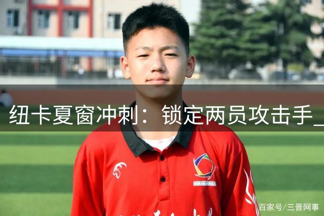 纽卡夏窗冲刺：锁定两员攻击手 防线补充暂缓